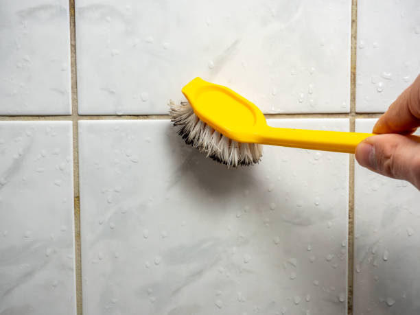 Best DIY Mold Remediation Support Services in Albany, WI