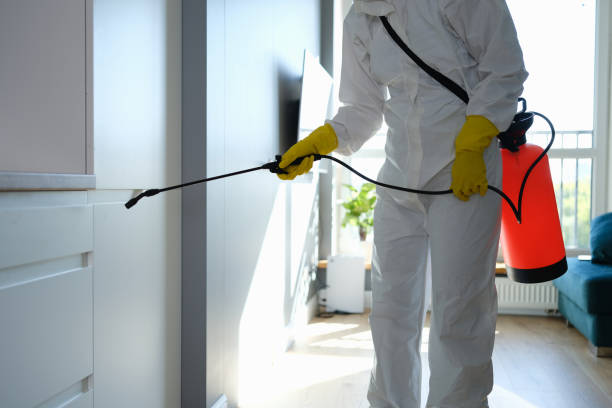  Albany, WI Mold Removal Pros